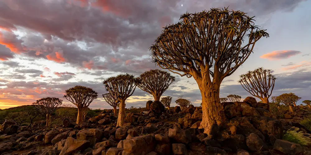 South Africa_landscape